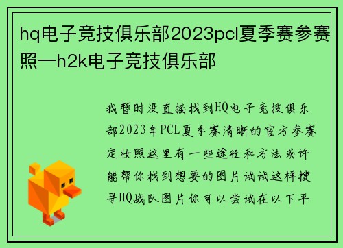 hq电子竞技俱乐部2023pcl夏季赛参赛照—h2k电子竞技俱乐部